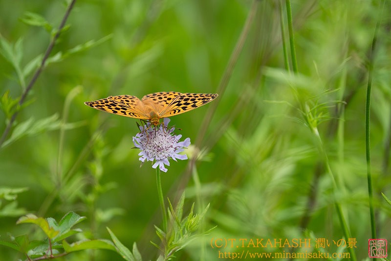 ../Images/7R240815 (169).jpg